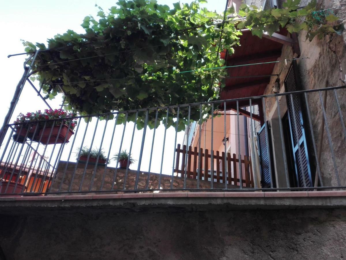 Casa Marilena Lejlighed Malcesine Eksteriør billede